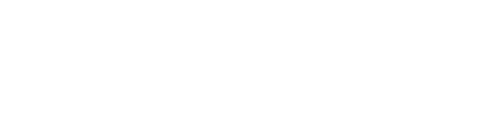 ConSAP Academy